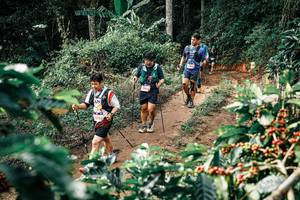 BIB: 
                            <button type="button" onclick="openModal(25856349)" class="btn btn-primary btn-sm float-right btn-popup" data-toggle="modal" data-target=".modal-high-quality">
                        <i class="fas fa-shopping-cart"></i> Add to Cart
                    </button>
                                            <button type="button" onclick="isThisMe(25856349, true)" class="btn btn-success btn-sm float-right btn-popup btn-isme hidden" data-toggle="tooltip" data-placement="bottom" title="นี่คือรูปของคุณใช่ไหม คลิกที่นี่เพื่อเอาเข้าอัลบั้ม">
                        <i class="fas fa-plus"></i> Add to album
                    </button>
                    <button type="button" onclick="isThisMe(25856349, false)" class="btn btn-warning btn-sm float-right btn-popup btn-isnotme hidden">
                        <i class="fas fa-ban"></i> Remove from album
                    </button>